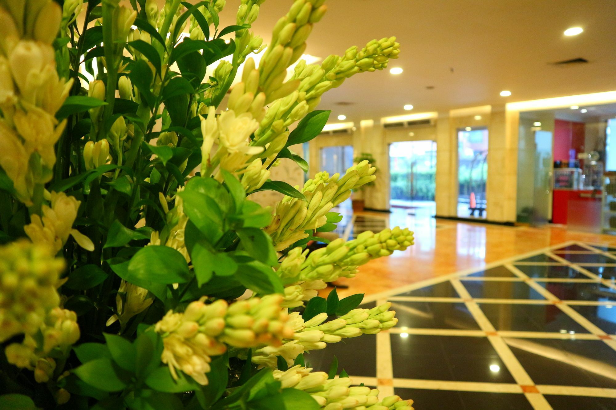 Horison Arcadia Mangga Dua Hotel Jakarta Kültér fotó